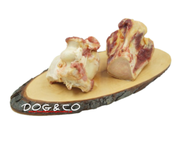 Pferde Kugelknochen TK